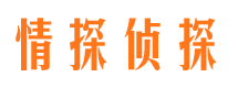 澜沧侦探社